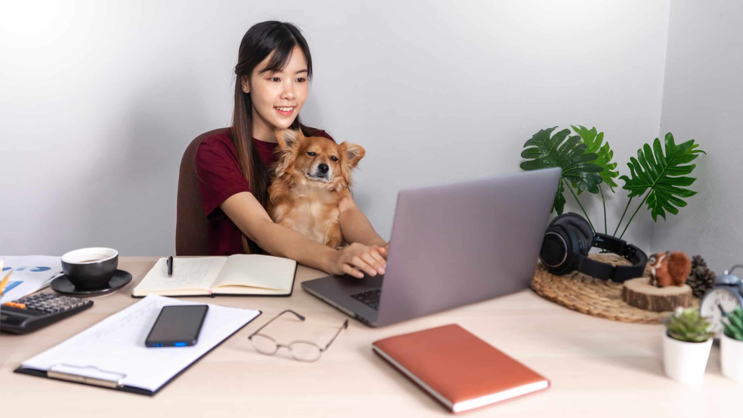 Netflix Careers Remote Apply In USA ( Art Director )